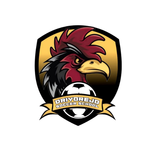 DRIYOREJO SOCCER SCHOOL (DSS)