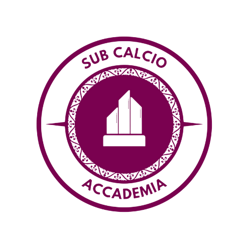 SUB CALCIO ACCADEMIA